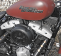 EMD Shovel Rocker Cover