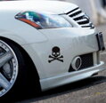 Samolepka plastová Skull & bones