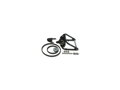 300 Trick n Roll Swingarm, With Drive Side Brake System/Side Mount Plate