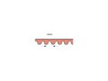 Dayco Panther Ultra Cord Rear Belts 14 mm 1 1/8