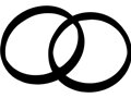 Seal, Intake Manifold, Viton Seal Intake Manifold Seal