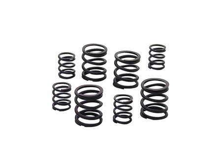 Valve Spring Kit Pan/Shovel