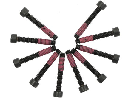 10-24 x 1 1/4" Torx Stator Mounting Screws Pack of 10