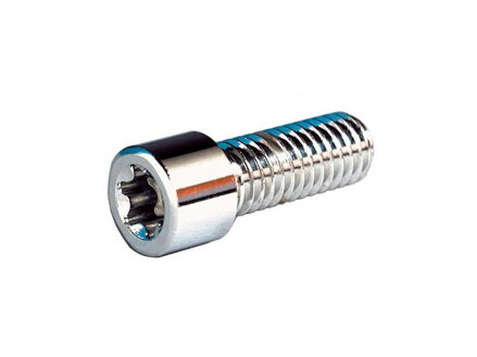 Torx Sockethead Screw Pack Chrome Grade 8 Torx 3/4"