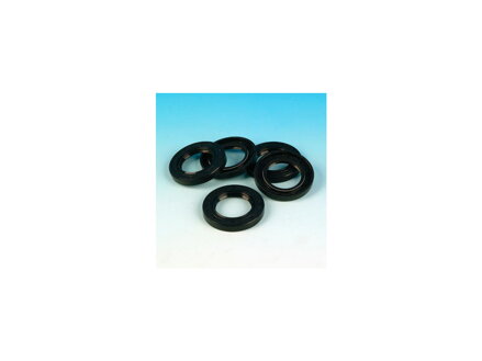 Oil Seal Inner Primary Chain Cover Pack 5