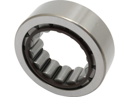 Right Side Pinion Shaft Bearing Each 1