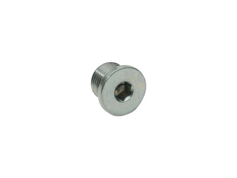 Sensor Bung Plug 12 x 1.25 mm O2 Sensor Bung Plug Chrome