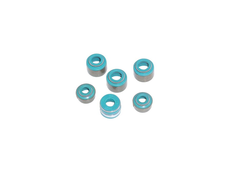 VITON SEALS