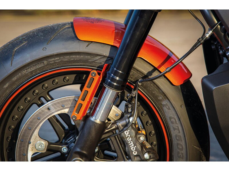 Front Fender for Sportster S Standard 17" Raw